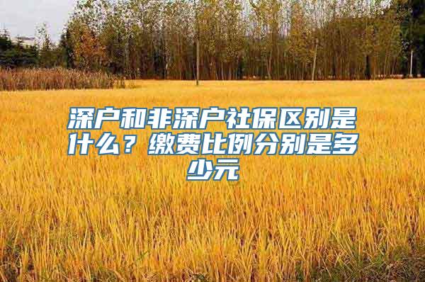 深户和非深户社保区别是什么？缴费比例分别是多少元