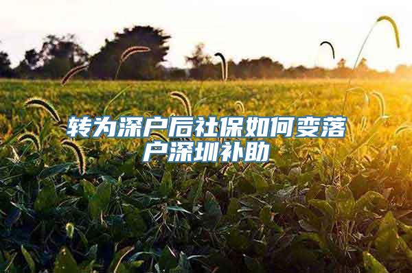 转为深户后社保如何变落户深圳补助