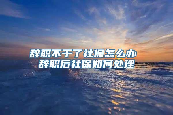 辞职不干了社保怎么办 辞职后社保如何处理