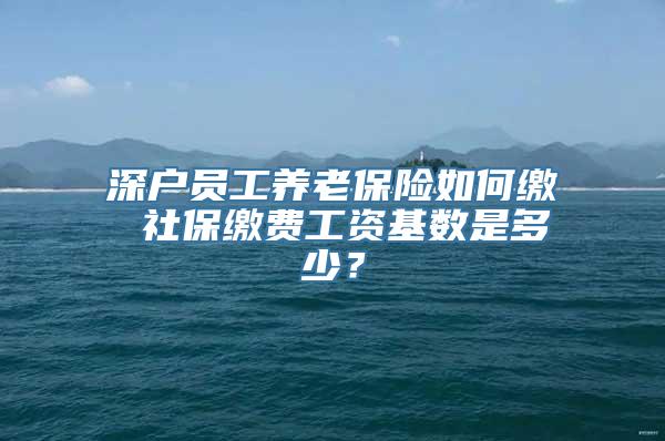 深户员工养老保险如何缴 社保缴费工资基数是多少？