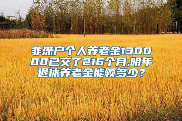 非深户个人养老金130000已交了216个月,明年退休养老金能领多少？