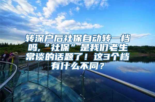 转深户后社保自动转一档吗,“社保”是我们老生常谈的话题了！这3个档有什么不同？