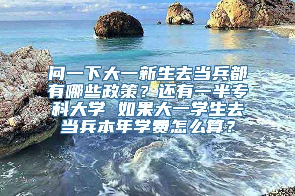 问一下大一新生去当兵都有哪些政策？还有一半专科大学 如果大一学生去当兵本年学费怎么算？