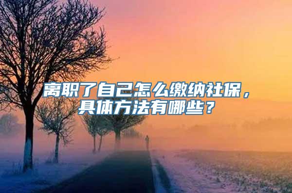 离职了自己怎么缴纳社保，具体方法有哪些？