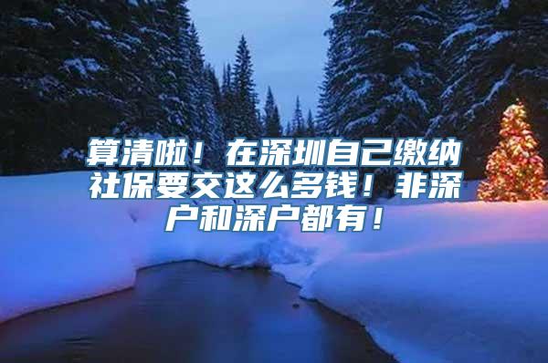 算清啦！在深圳自己缴纳社保要交这么多钱！非深户和深户都有！