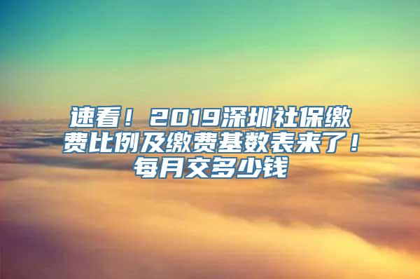 速看！2019深圳社保缴费比例及缴费基数表来了！每月交多少钱