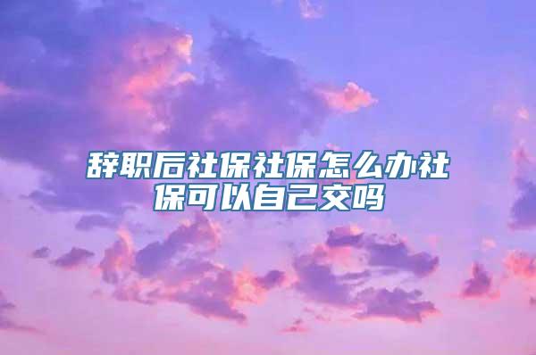 辞职后社保社保怎么办社保可以自己交吗