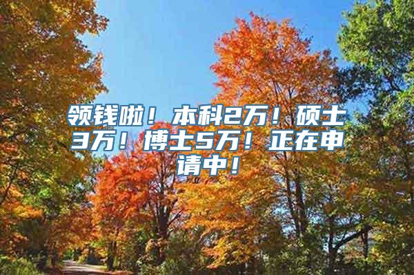 领钱啦！本科2万！硕士3万！博士5万！正在申请中！