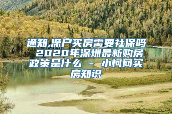 通知,深户买房需要社保吗 2020年深圳最新购房政策是什么 - 小柯网买房知识