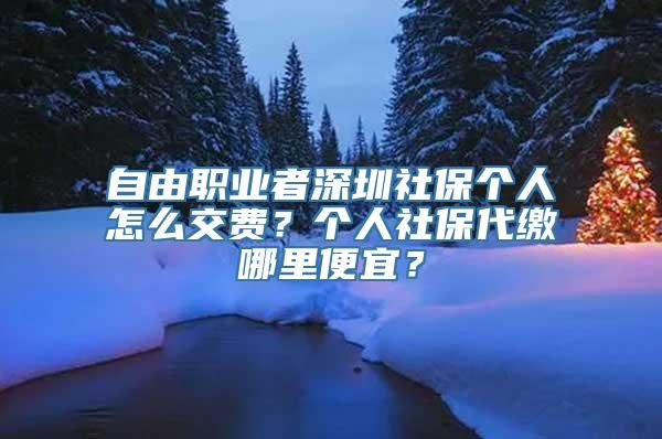 自由职业者深圳社保个人怎么交费？个人社保代缴哪里便宜？