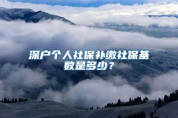 深户个人社保补缴社保基数是多少？