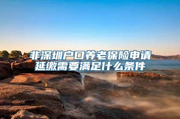 非深圳户口养老保险申请延缴需要满足什么条件