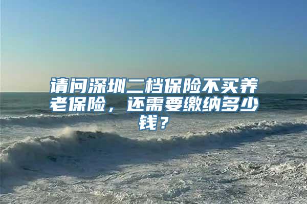 请问深圳二档保险不买养老保险，还需要缴纳多少钱？