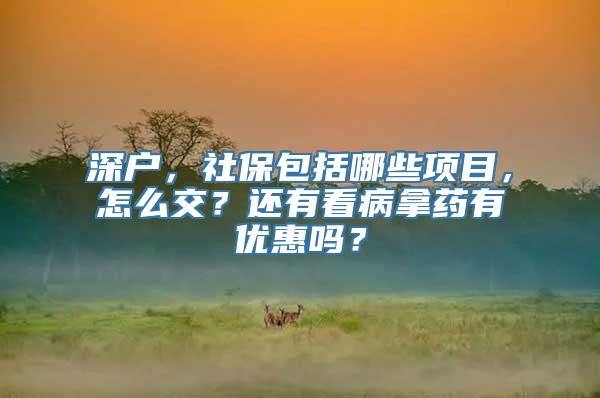 深户，社保包括哪些项目，怎么交？还有看病拿药有优惠吗？