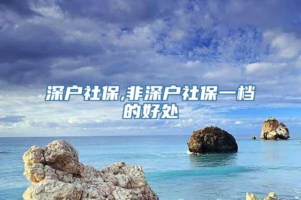 深户社保,非深户社保一档的好处