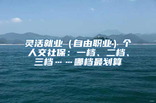 灵活就业（自由职业）个人交社保：一档、二档、三档……哪档最划算