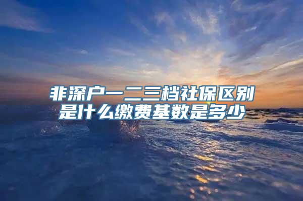 非深户一二三档社保区别是什么缴费基数是多少