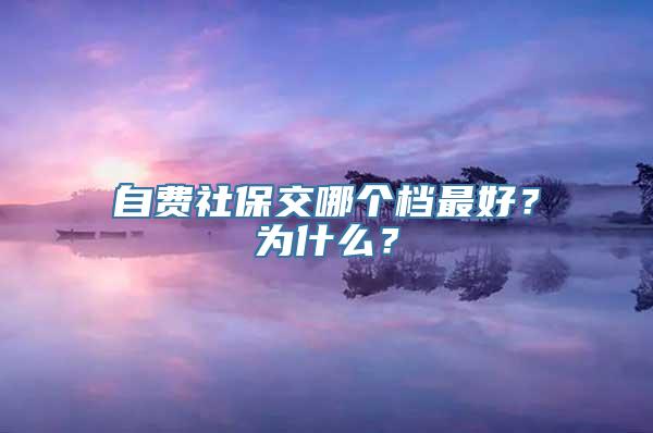 自费社保交哪个档最好？为什么？