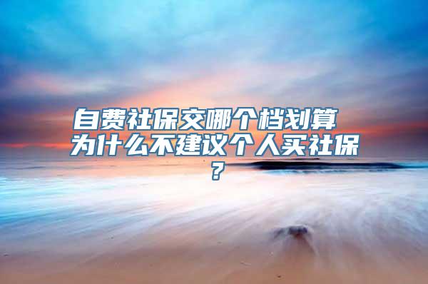 自费社保交哪个档划算 为什么不建议个人买社保？