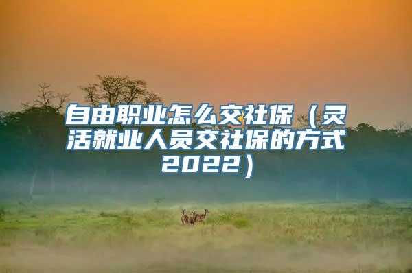 自由职业怎么交社保（灵活就业人员交社保的方式2022）