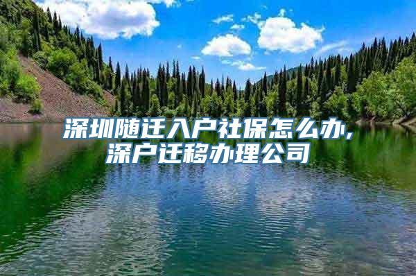 深圳随迁入户社保怎么办,深户迁移办理公司