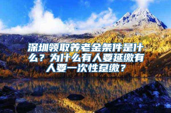 深圳领取养老金条件是什么？为什么有人要延缴有人要一次性趸缴？