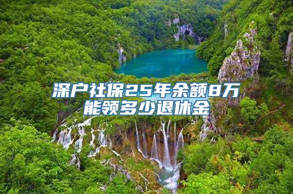 深户社保25年余额8万能领多少退休金