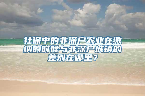 社保中的非深户农业在缴纳的时候与非深户城镇的差别在哪里？