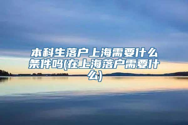 本科生落户上海需要什么条件吗(在上海落户需要什么)