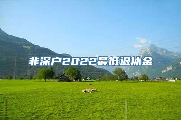 非深户2022最低退休金