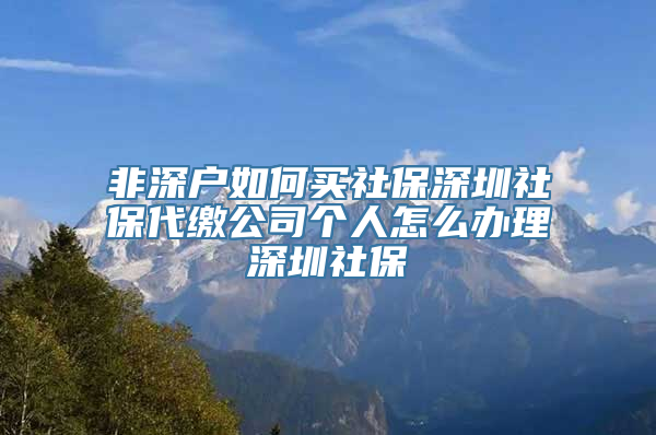 非深户如何买社保深圳社保代缴公司个人怎么办理深圳社保