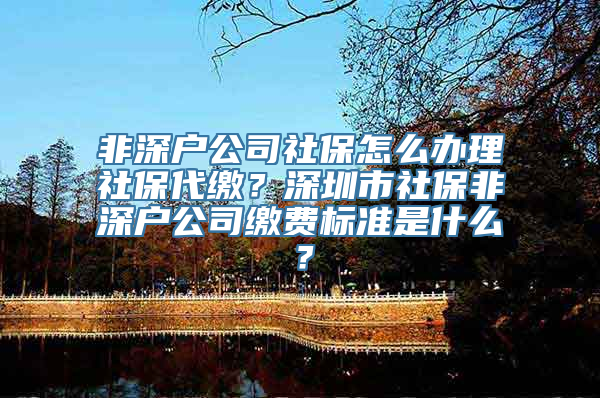 非深户公司社保怎么办理社保代缴？深圳市社保非深户公司缴费标准是什么？