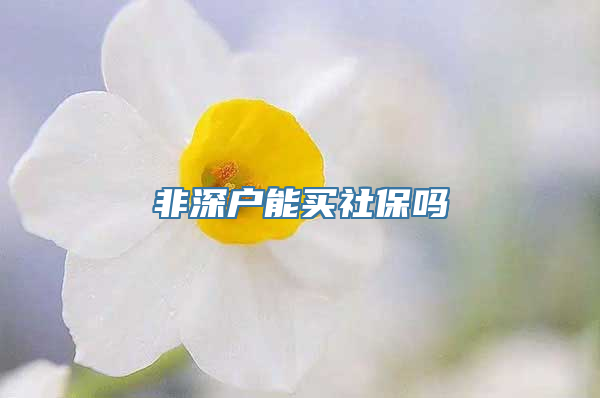 非深户能买社保吗