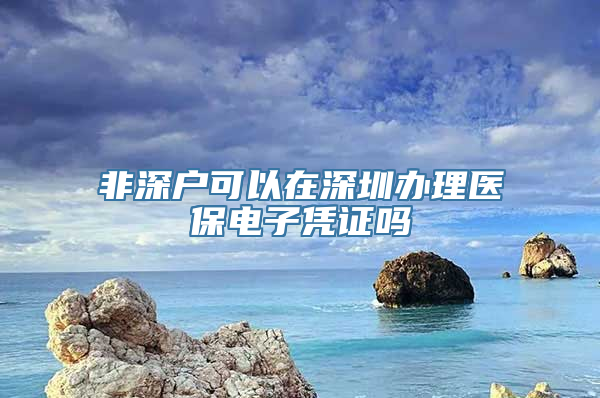 非深户可以在深圳办理医保电子凭证吗