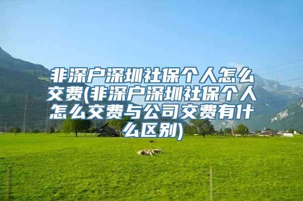 非深户深圳社保个人怎么交费(非深户深圳社保个人怎么交费与公司交费有什么区别)