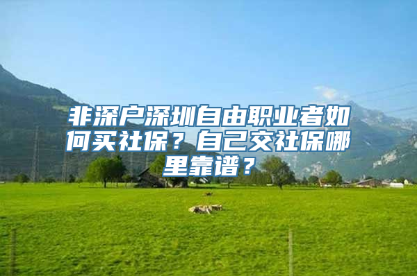 非深户深圳自由职业者如何买社保？自己交社保哪里靠谱？