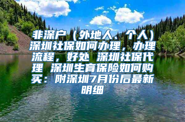 非深户（外地人、个人）深圳社保如何办理，办理流程，好处 深圳社保代理 深圳生育保险如何购买：附深圳7月份后最新明细