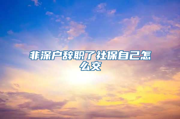 非深户辞职了社保自己怎么交