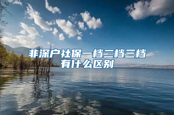 非深户社保一档二档三档有什么区别