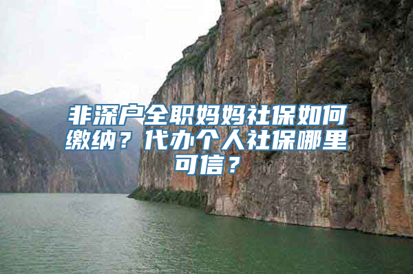 非深户全职妈妈社保如何缴纳？代办个人社保哪里可信？