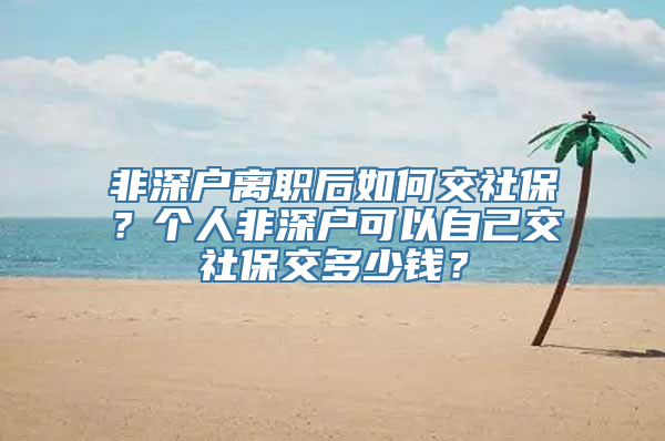 非深户离职后如何交社保？个人非深户可以自己交社保交多少钱？