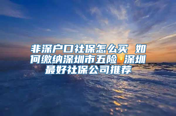 非深户口社保怎么买 如何缴纳深圳市五险 深圳最好社保公司推荐