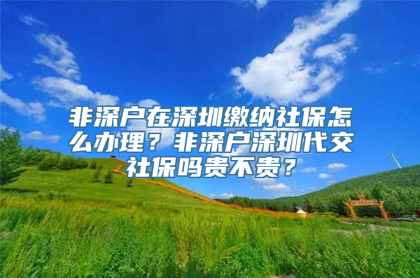 非深户在深圳缴纳社保怎么办理？非深户深圳代交社保吗贵不贵？