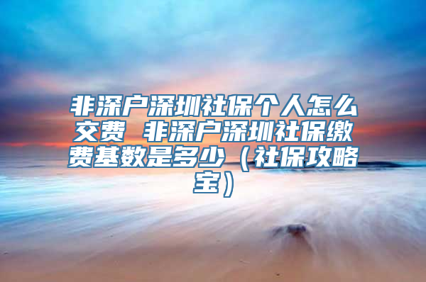 非深户深圳社保个人怎么交费 非深户深圳社保缴费基数是多少（社保攻略宝）