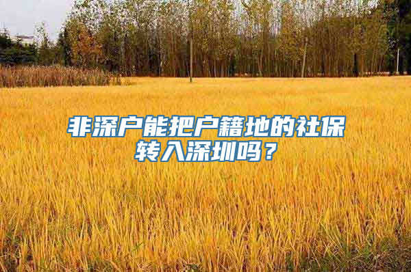 非深户能把户籍地的社保转入深圳吗？