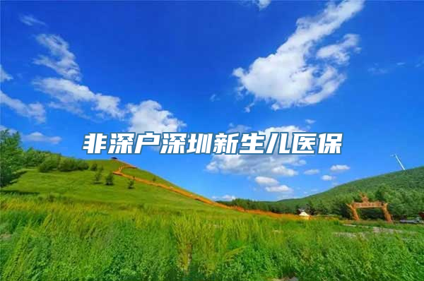 非深户深圳新生儿医保