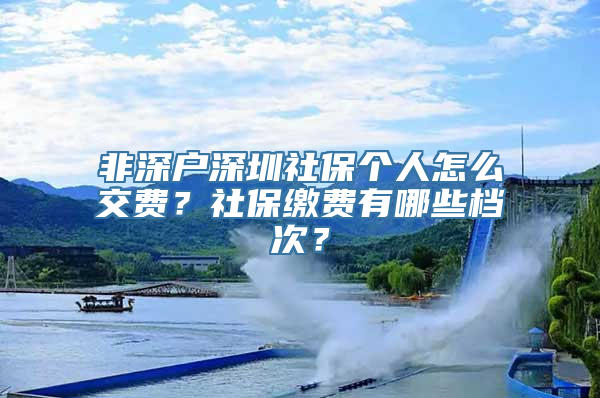 非深户深圳社保个人怎么交费？社保缴费有哪些档次？