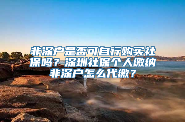 非深户是否可自行购买社保吗？深圳社保个人缴纳非深户怎么代缴？