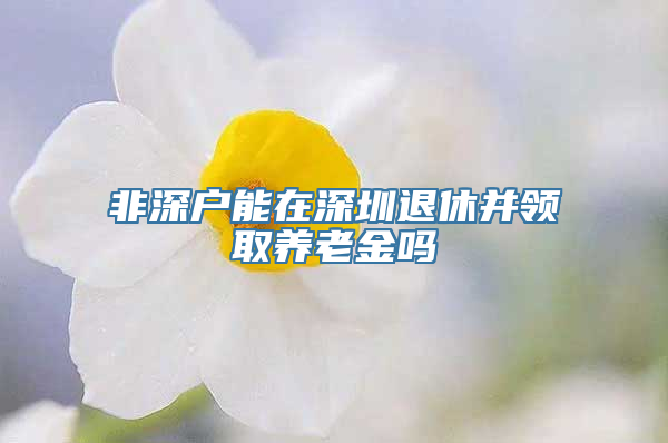 非深户能在深圳退休并领取养老金吗