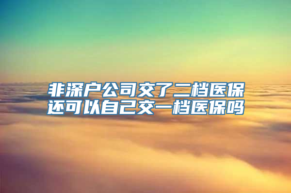 非深户公司交了二档医保还可以自己交一档医保吗